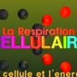 Définition de respiration cellulaire - Concept et Sens