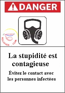 Definition De Stupidite Concept Et Sens